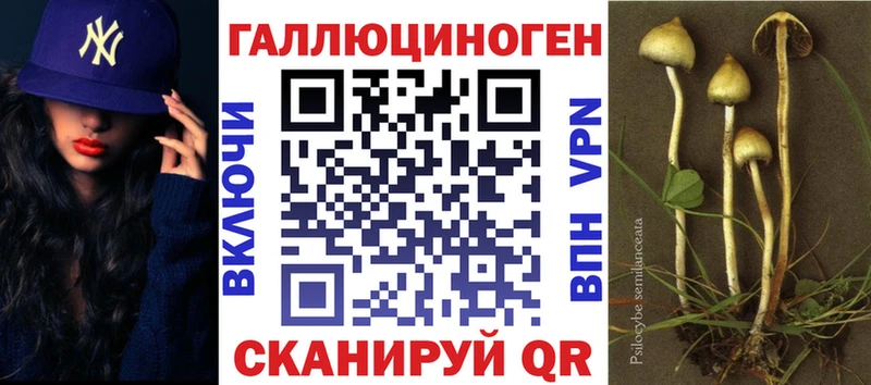 MEGA вход  Краснокаменск  Галлюциногенные грибы Cubensis 